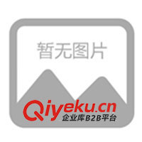 供應(yīng)門窗玻璃密封條、車門密封條(圖)